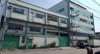 Commercial Property in Caloocan