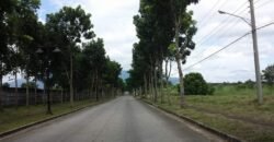 For Sale: Vacant Lot, Hacienda Sta. Monica, Lipa City Batangas