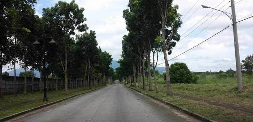 For Sale: Vacant Lot, Hacienda Sta. Monica, Lipa City Batangas