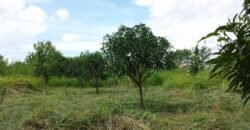 For Sale: Vacant Lot, Hacienda Sta. Monica, Lipa City Batangas