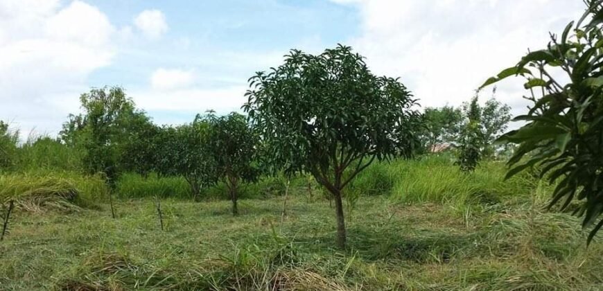 For Sale: Vacant Lot, Hacienda Sta. Monica, Lipa City Batangas