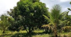 For Sale: Vacant Lot, Hacienda Sta. Monica, Lipa City Batangas