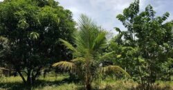 For Sale: Vacant Lot, Hacienda Sta. Monica, Lipa City Batangas