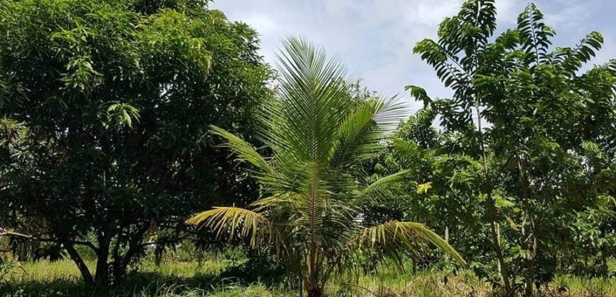 For Sale: Vacant Lot, Hacienda Sta. Monica, Lipa City Batangas