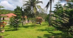 Prime Residential Farm Mansion at Alfonso, Cavite for Sale