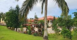 Prime Residential Farm Mansion at Alfonso, Cavite for Sale