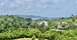 Oceanway Residences, Brgy. Yapak, Boracay