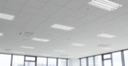One Trium Tower, Filinvest Ave., Alabang Muntinlupa City Office for Lease
