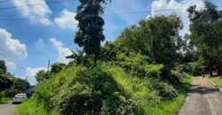 Timberland Heights San Mateo Rizal Prime Vacant Lot For Sale