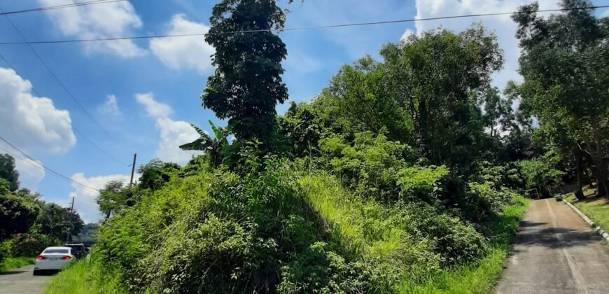 Timberland Heights San Mateo Rizal Prime Vacant Lot For Sale