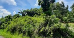 Timberland Heights San Mateo Rizal Prime Vacant Lot For Sale