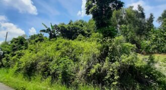 Timberland Heights San Mateo Rizal Prime Vacant Lot For Sale