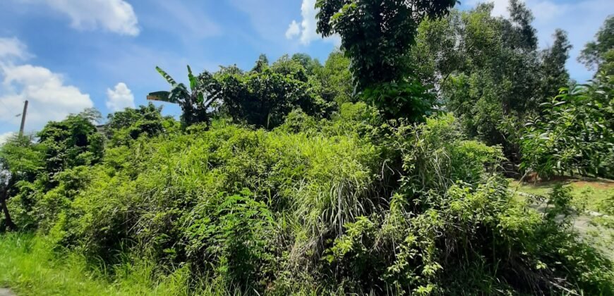 Timberland Heights San Mateo Rizal Prime Vacant Lot For Sale