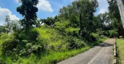 Timberland Heights San Mateo Rizal Prime Vacant Lot For Sale
