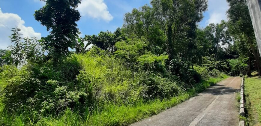 Timberland Heights San Mateo Rizal Prime Vacant Lot For Sale