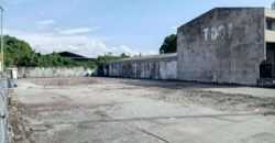 Vacant Lot Dr. Arcadio Santos Avenue, Paranaque City for Sale