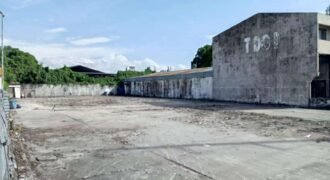Vacant Lot Dr. Arcadio Santos Avenue, Paranaque City for Sale