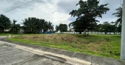 Playa Laiya Estate, San Juan, Batangas Beach Lot for Sale