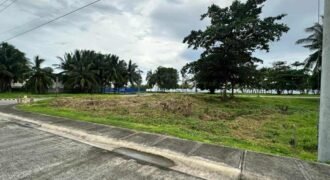 Playa Laiya Estate, San Juan, Batangas Beach Lot for Sale