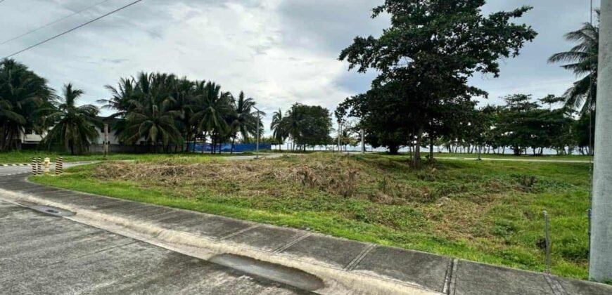 Playa Laiya Estate, San Juan, Batangas Beach Lot for Sale