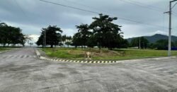Playa Laiya Estate, San Juan, Batangas Beach Lot for Sale