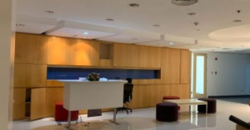 One World Square, McKinley Hill Taguig City Office for Lease