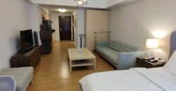 Verve Residences, BGC, Taguig City Condo for Rent