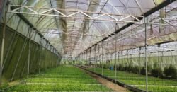 Lot with Improvements Amadeo, Cavite For Sale