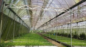 Lot with Improvements Amadeo, Cavite For Sale