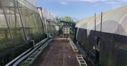 Lot with Improvements Amadeo, Cavite For Sale