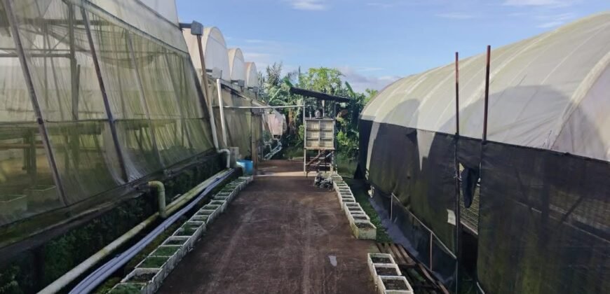 Lot with Improvements Amadeo, Cavite For Sale