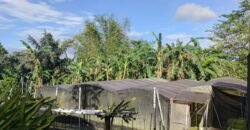 Lot with Improvements Amadeo, Cavite For Sale