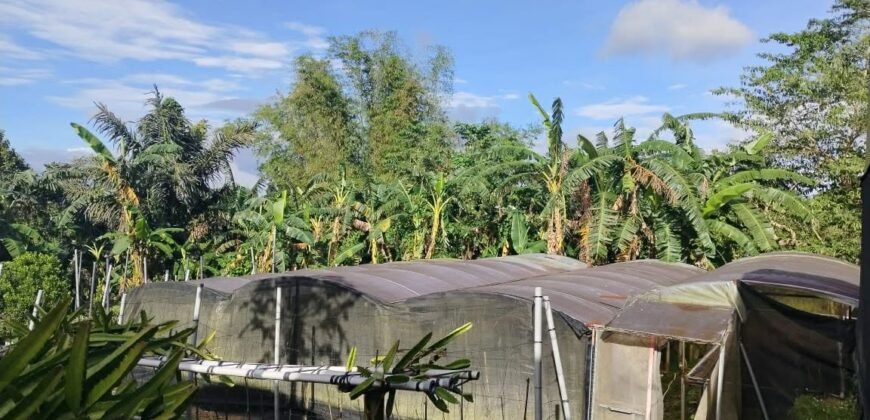 Lot with Improvements Amadeo, Cavite For Sale