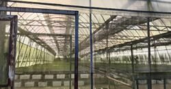 Lot with Improvements Amadeo, Cavite For Sale