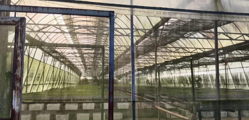 Lot with Improvements Amadeo, Cavite For Sale