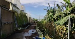 Lot with Improvements Amadeo, Cavite For Sale