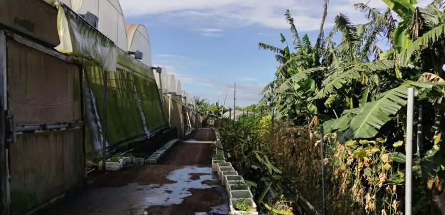 Lot with Improvements Amadeo, Cavite For Sale