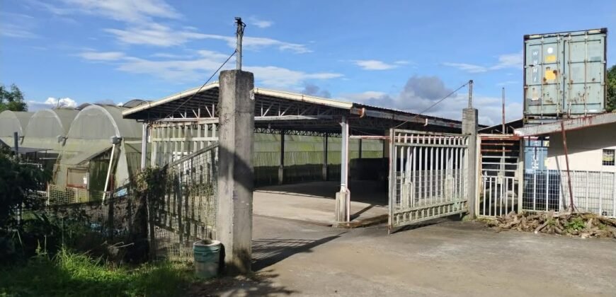 Lot with Improvements Amadeo, Cavite For Sale