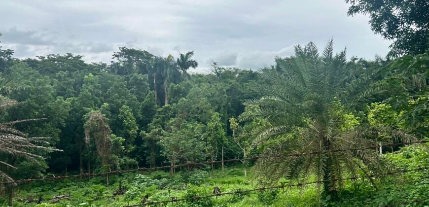 Lot Alaminos, Laguna For Sale