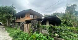 Lot Alaminos, Laguna For Sale