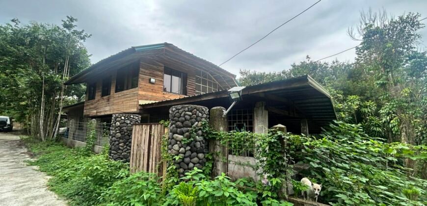 Lot Alaminos, Laguna For Sale