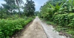 Lot Alaminos, Laguna For Sale
