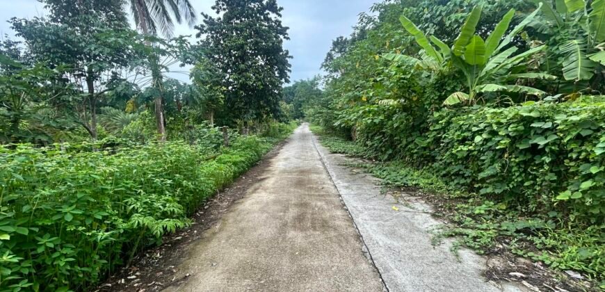 Lot Alaminos, Laguna For Sale