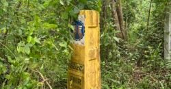 Lot Alaminos, Laguna For Sale