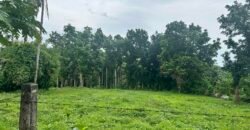 Lot Alaminos, Laguna For Sale
