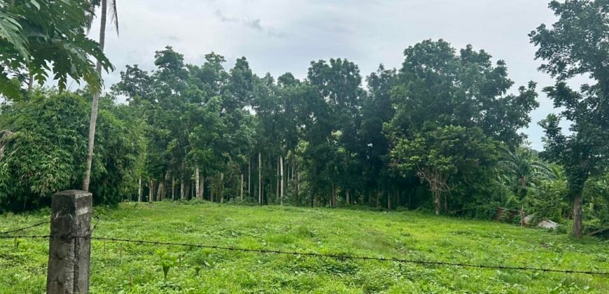 Lot Alaminos, Laguna For Sale