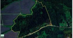 Lot Alaminos, Laguna For Sale
