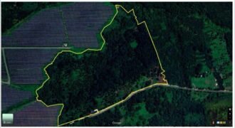 Lot Alaminos, Laguna For Sale