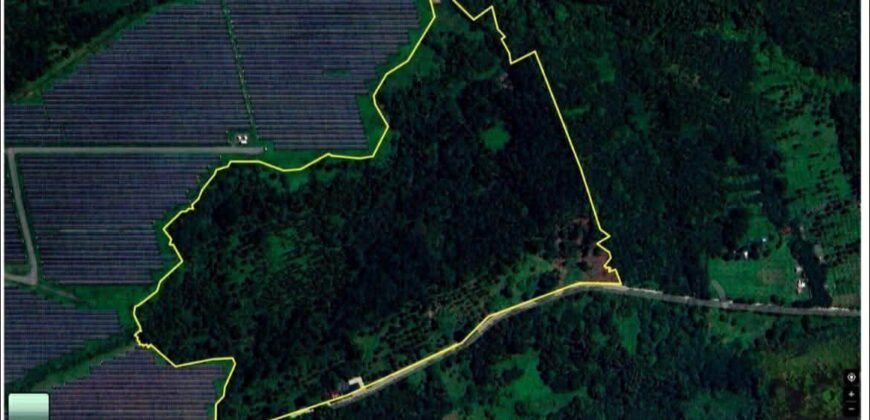 Lot Alaminos, Laguna For Sale